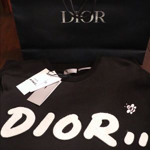 Dior x Kaws  Sweatshirt (Lmtd Edition)